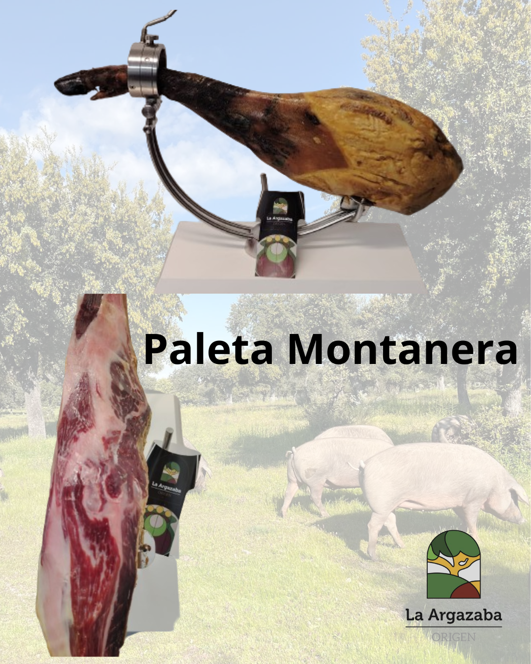 Paleta Montanera 13-23