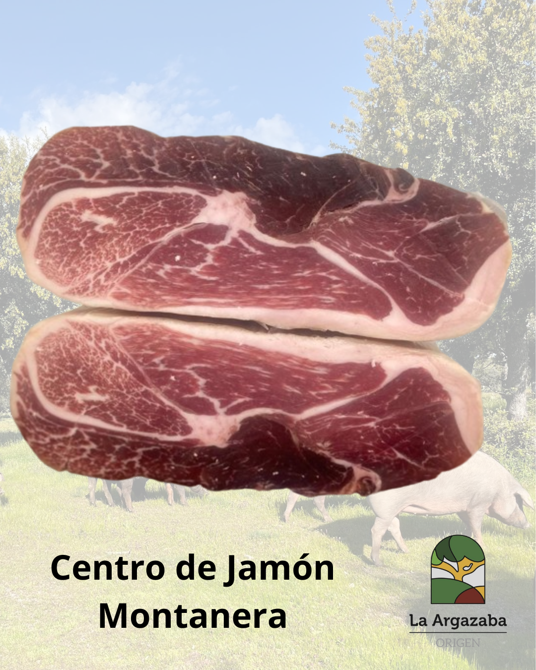 Centro de Jamón Montanera