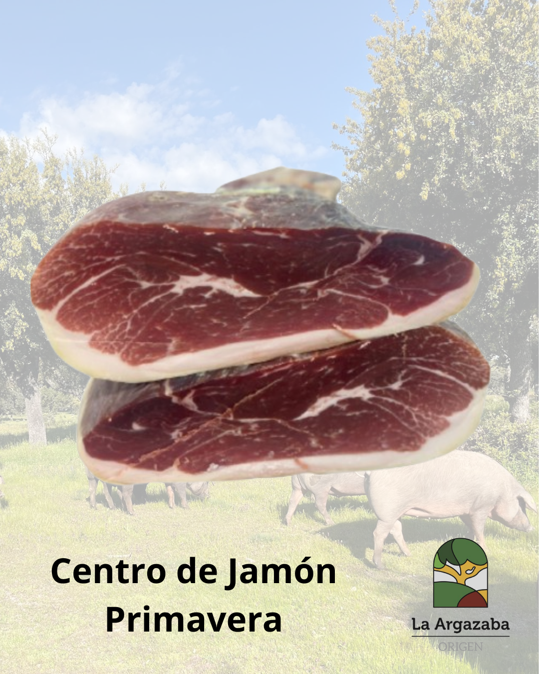 Centro de Jamón Primavera La Argazaba