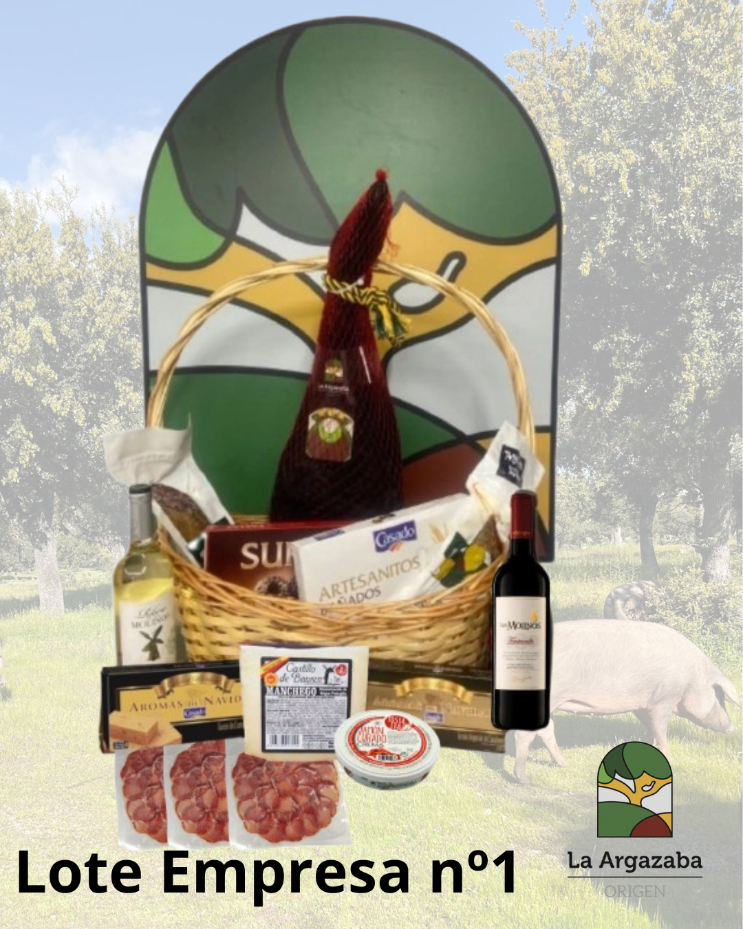 Lote Empresa nº1 La Argazaba