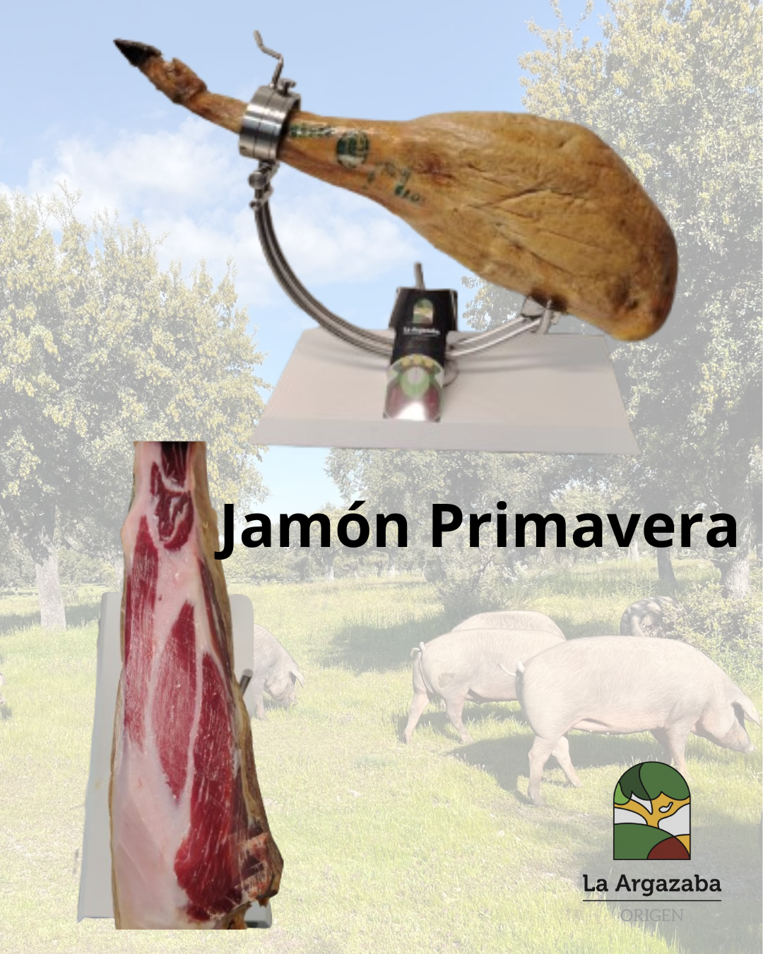 Jamón Primavera